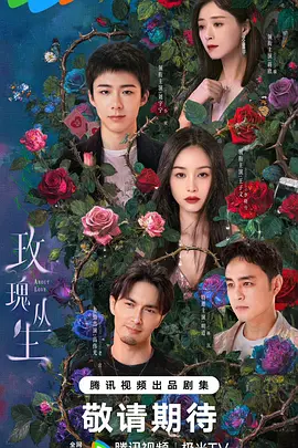 玫瑰丛生丨蝉女 玫瑰丛生丨蝉女